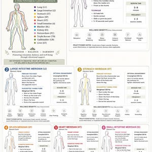 May include: A white informational chart titled The 12 Primary Meridian Pathways, featuring anatomical diagrams of the human body with colored lines representing meridians. It includes text instructions for using tuning forks, session times, and frequencies.