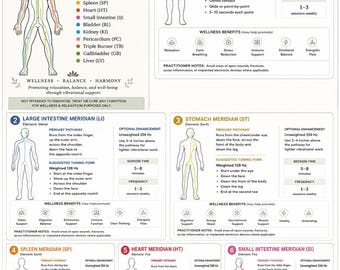 THE 12 MERIDIANS [digital download]