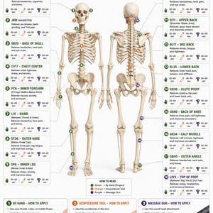 May include: An educational chart titled Total Body Pressure Point Release featuring a front and back view of a human skeleton. It includes numbered pressure points, icons for application methods, and instructions for using hands, tools, or massage guns.