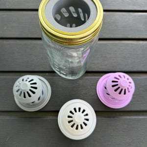 May include: A clear glass jar with a gold-colored lid and a gray filter. Three additional filters in gray, white, and lavender are also present. The jar and filters are designed for kitchen use.
