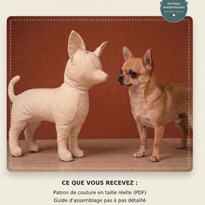 Puede incluir: Un patrón de costura PDF digital para un perro Chihuahua, con el texto PATRON PDF - TUTORIEL NUMÉRIQUE POUR COUDRE VOTRE CHIHUAHUA. La imagen muestra un peluche de Chihuahua de tela beige junto a un pequeño perro Chihuahua marrón vivo.
