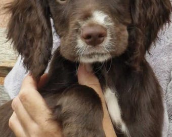 Personalized Baby Name Jumper|Custom Embroidered Baby Sweater|Newborn Gift|Baby Shower Present|First Birthday Outfit|Handmade Kids Pullover