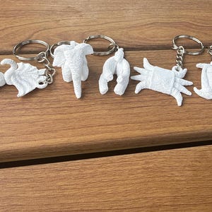 Towel Animal Keychain | 3D Printed Disney Cruise Gift | DCL Fish Extender | Pixie Dust Souvenir | Cruise Accessory