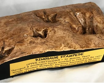 STAMPEDE DE DINOSAURE D'AUSTRALIE - fonte fossile rare