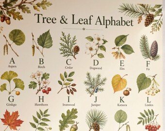 植物の木のABCアルファベットポスター ヴィンテージ風の森の子供部屋アートプリント