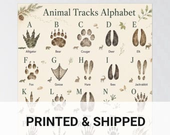 ABC Animal Tracks Alphabet Print Woodland Nursery Montessori Kids Wall Art
