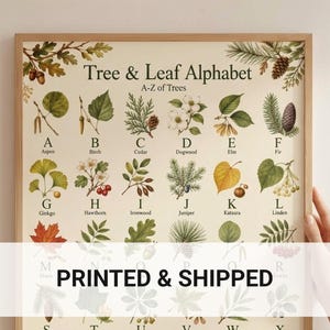 Botanical Tree ABC Alphabet Poster Vintage Woodland Nursery Art Print