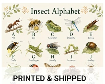 Vintage Insect Print Victorian Alphabet Nursery Decor Entomology Wall Art