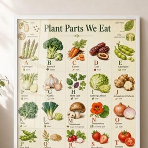 May include: A rectangular educational wall poster titled Plant Parts We Eat, featuring a grid of illustrations of various vegetables, fruits, and grains labeled from A to Z. Each item is identified by its common name and its edible plant part.