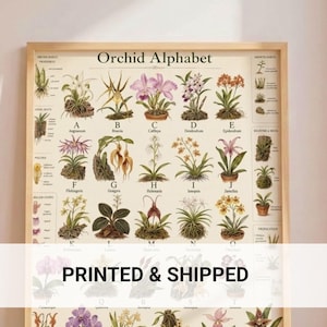 Vintage Botanical Orchid Art Print | Flora Learning Chart | Science Wall Decor
