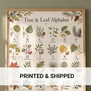 May include: A rectangular wall poster titled Tree & Leaf Alphabet featuring botanical illustrations of trees and leaves for each letter from A to Z, displayed in a light wood frame with the text PRINTED & SHIPPED overlaid in the center.