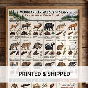 May include: A rectangular educational poster titled Woodland Animal Scat & Signs, A North American Wildlife Field Guide. It features illustrations of various animals, their scat, and tracks, with the text PRINTED & SHIPPED overlaid in the center.