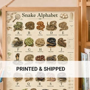 Vintage slangenalfabet kunst, reptielen muurdecoratie, zoölogie kamer print