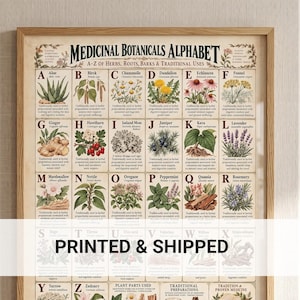 Affisch med medicinska växter | Botaniskt diagram över örttraditioner