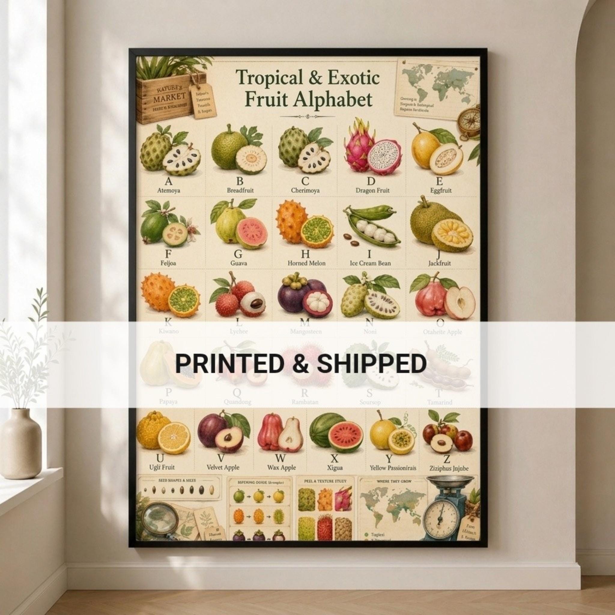 A Z Fruits - Etsy