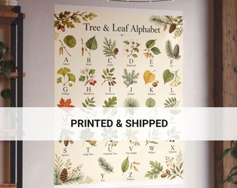Botanical Tree ABC Alphabet Poster Vintage Woodland Nursery Art Print
