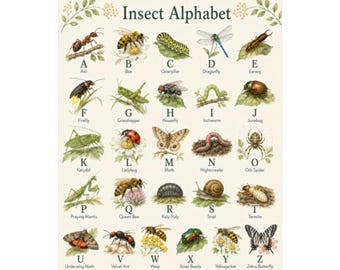 Victorian Insect Alphabet Digital Print Nursery Decor Entomology Download