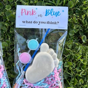 May include: A clear cellophane bag contains a plaster foot, pink and blue paint, a paintbrush, and pink and blue paper shreds. The bag has a card that reads "Pink or Blue, what do you think?" on a green grass background.