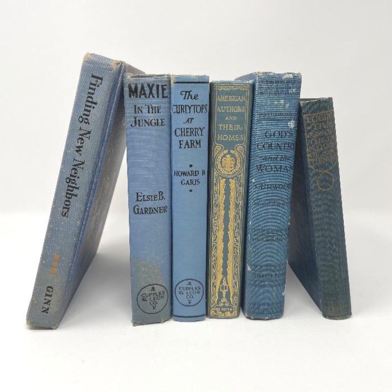 May include: A collection of vintage books with blue covers, including titles like "Finding New Neighbors," "Maxie in the Jungle," and "The Curlytops at Cherry Farm." The books are arranged upright, showcasing their aged appearance and embossed titles.