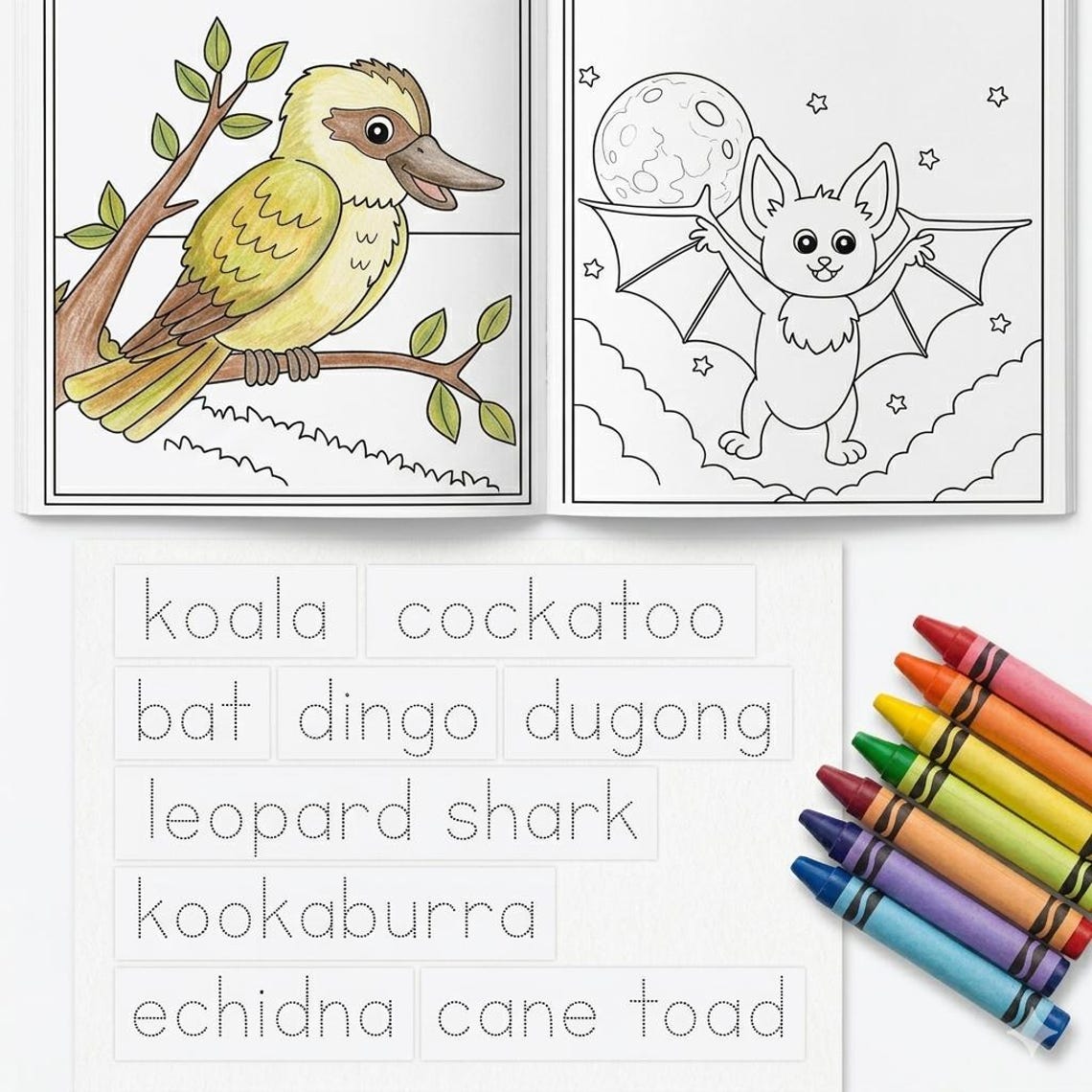 Outback Colouring 20 Australian Outback Colouring Pages | Aussie Animals Colouring | Kids ...