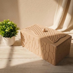 May include: A beige rectangular storage box with a textured, patterned exterior and a lid featuring a ridged design and a small, round knob. A small potted plant with green leaves sits to the left.