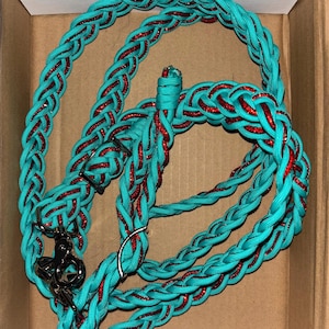 May include: Braided turquoise dog leash with red glitter accents. The leash features a metal clasp and a matching loop handle. The braided design adds a stylish touch to this pet accessory.