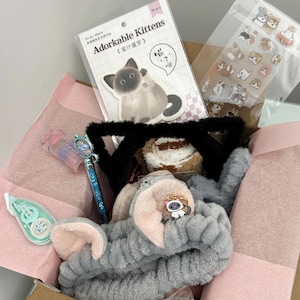 Hand-Curated Cat Lover Mystery Box 18+ Themed Items, Limited Scoop Experience