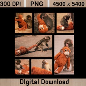 May include: A digital download featuring a collage of images of monkeys interacting with an orange plush toy. The monkeys are brown and gray, and the toy has a smiling face. The text "Digital Download" is at the bottom.