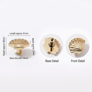 May include: A gold-colored shell-shaped cabinet knob with a metallic finish. The knob measures approximately 41mm in length, 33mm in width, 28mm in height, and has a base diameter of 10mm. The image displays the front view, base detail, and front detail.