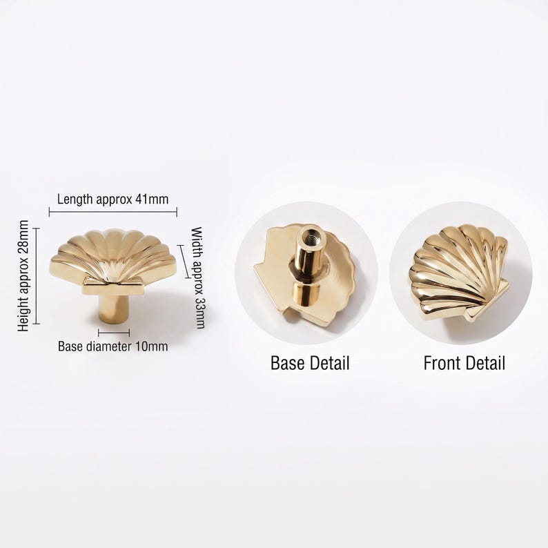 May include: A gold-colored shell-shaped cabinet knob with a metallic finish. The knob measures approximately 41mm in length, 33mm in width, 28mm in height, and has a base diameter of 10mm. The image displays the front view, base detail, and front detail.