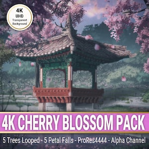 Pack d'animation 4K Fleurs de cerisier - Boucles d'arbres, superpositions de pétales (ProRes 4444)