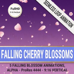 May include: A digital graphic with a purple gradient background and falling pink cherry blossoms. The text "FALLING CHERRY BLOSSOMS" is displayed in large, blue letters. Additional text includes "5 FALLING BLOSSOM ANIMATIONS" and "9:16 VERTICAL".