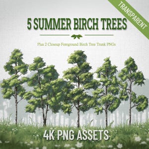 May include: A digital graphic set featuring 5 summer birch trees with green foliage and white trunks, including 2 closeup foreground birch tree trunk PNGs. The text reads 5 SUMMER BIRCH TREES, Plus 2 Closeup Foreground Birch Tree Trunk PNGs, and 4K PNG ASSETS.