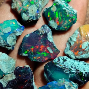 Peut inclure: Plusieurs pierres d'opale brutes, présentant des couleurs internes vives. Les opales affichent une variété de teintes, notamment le vert, le bleu, le rouge et l'orange, avec un effet de jeu de couleurs. Les pierres sont de forme irrégulière et ont une texture brute et naturelle.