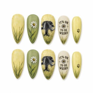 Jimothy Raccoon Press On Nails, It's OK To Be Weird Nails, Jimothy Raccoon False Nails, Cute Meme Nail Set