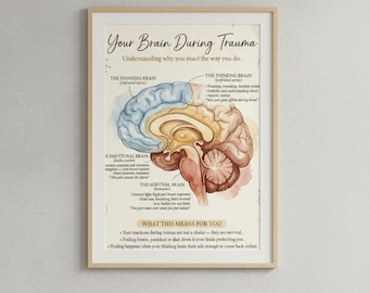 May include: A framed educational poster titled Your Brain During Trauma, featuring a cross-section illustration of the human brain color-coded in blue, yellow, and red. It includes text labels for the thinking, emotional, and survival brain sections.