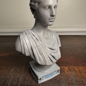 May include: A gray marble bust of Cleopatra, featuring a detailed depiction of her face and draped clothing. The bust is mounted on a square base with the inscription "CLEOPATRA VII PHILOPATOR".