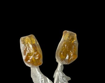 Paletas de osito de miel