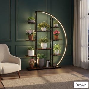 May include: A black metal plant stand with multiple shelves, holding various potted plants. The stand has a curved, illuminated light feature. The plants include flowering and leafy varieties, displayed against a dark green wall and a beige rug.