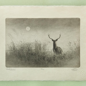 Deer under full moon Photogravure, Original Handmade Etching on Washi, Limited Edition of 10, Black and White Fine Art Print