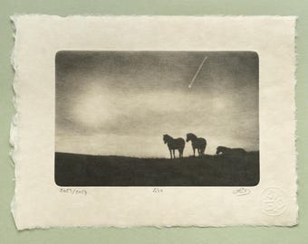 Horses of Dartmoor Photogravure, Original Handmade Etching on Washi, Limited Edition of 10, Signed & Embossed Black and White Fine Art Print