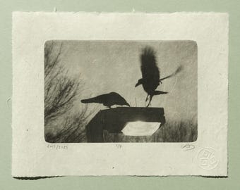 Pair of Crows Photogravure, Original Handmade Etching on Washi, Limited Edition of 7, Signed & Embossed Black and White Fine Art Print