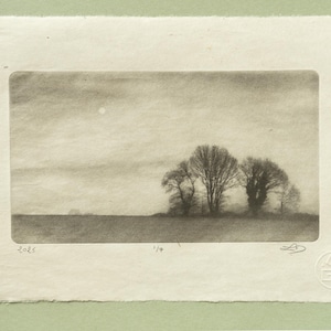 Morning Mist Photogravure, Original Handmade Etching on Washi, Limited Edition of 7, Signed & Embossed Black and White Fine Art Print
