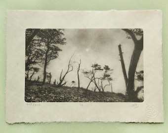 Japanese Mountain Forest Photogravure, Original Handmade Etching on Washi, Limited Edition of 5, Signed & Embossed Monochrome Fine Art Print