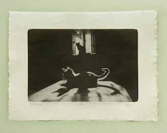 Cat in Window Light Photogravure, Original Handmade Etching on Washi, Limited Edition of 10, Signed & Embossed Monochrome Fine Art Print
