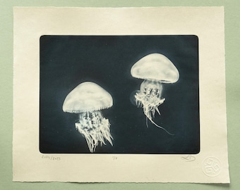Jellyfish Wall Art – Ocean Decor – Minimalist Underwater Photography – Marine Life Print – Fine Art Print