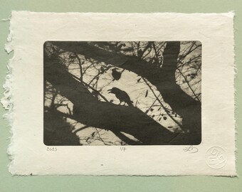 Raven Silhouette Photogravure, Original Handmade Etching on Washi, Limited Edition of 7, Signed & Embossed Black and White Fine Art Print