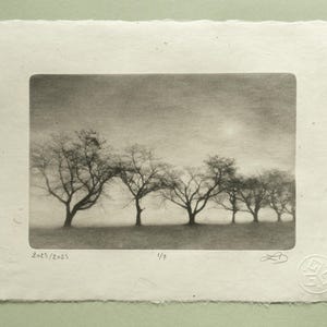 Silent Trees in Fog Photogravure, Original Handmade Etching on Washi, Limited Edition of 7, Signed & Embossed Black and White Fine Art Print