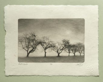 Silent Trees in Fog Photogravure, Original Handmade Etching on Washi, Limited Edition of 7, Signed & Embossed Black and White Fine Art Print
