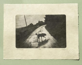 Dog Silhouette Photogravure, Original Handmade Etching on Washi, Limited Edition of 9, Signed & Embossed Black and White Fine Art Print